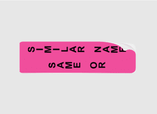 Same or Similar Name Prompt Label