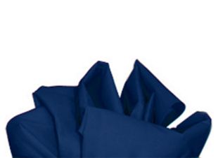 Slide Sheet - Blue