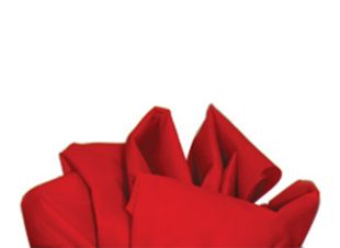 Slide Sheet – Red