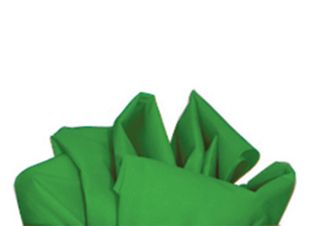 Slide Sheet – Green